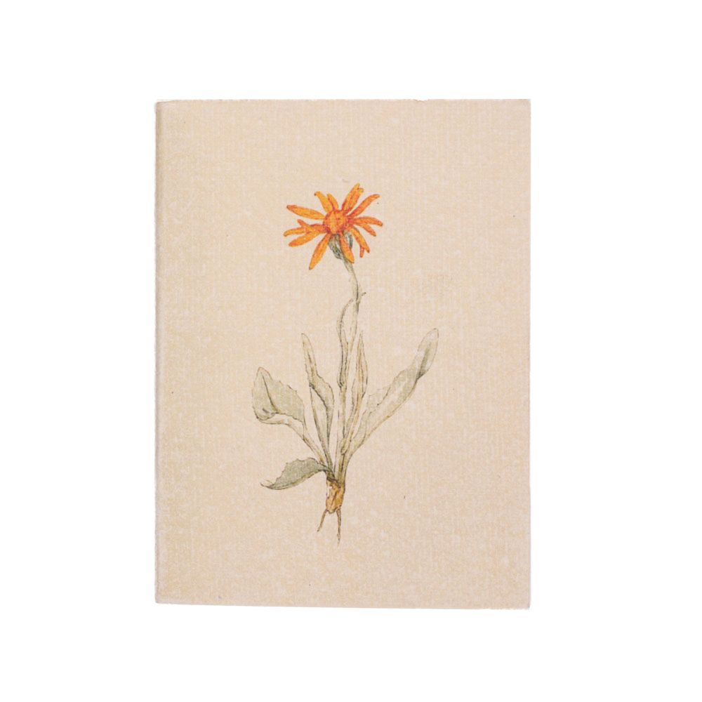 Flower Pocket Diary Set Of 2