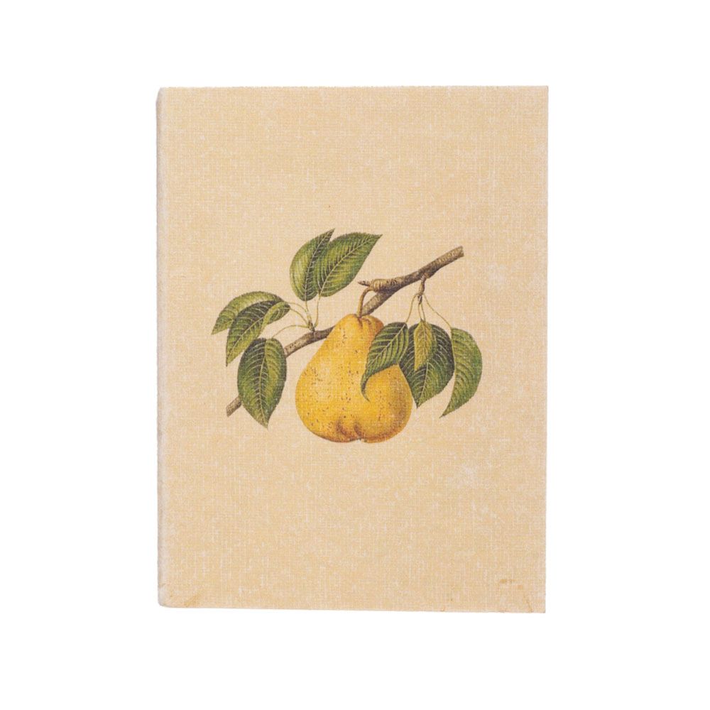 Fruit Pocket Diary Set Of 2
