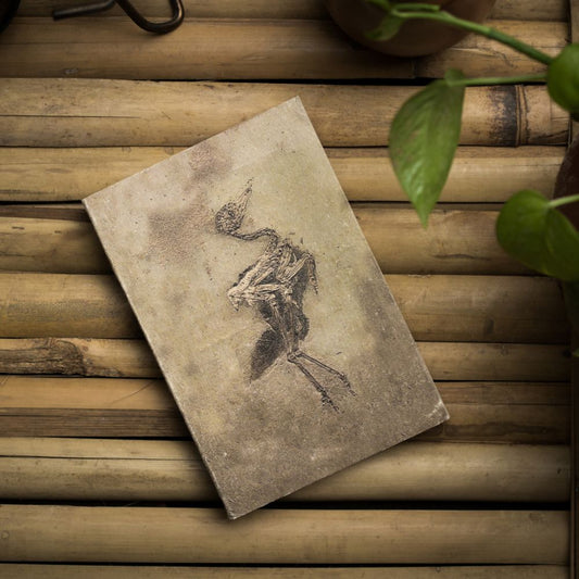 Bird Fossil Handmade Notebook