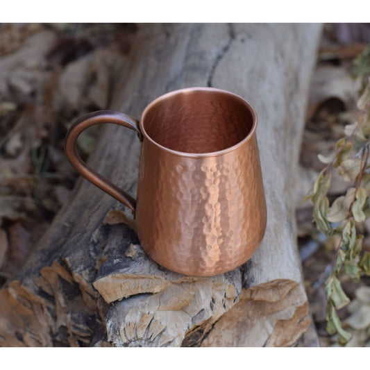 Copper Mug With Handle Set Of 2