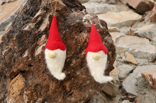 Santa Claus (Set Of 2) Hanging Ornament