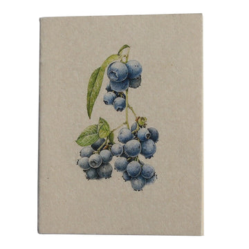Blueberry Botanical Illustration Pocket Diary Set Of 2 - DeKulture DKW-1079-PD