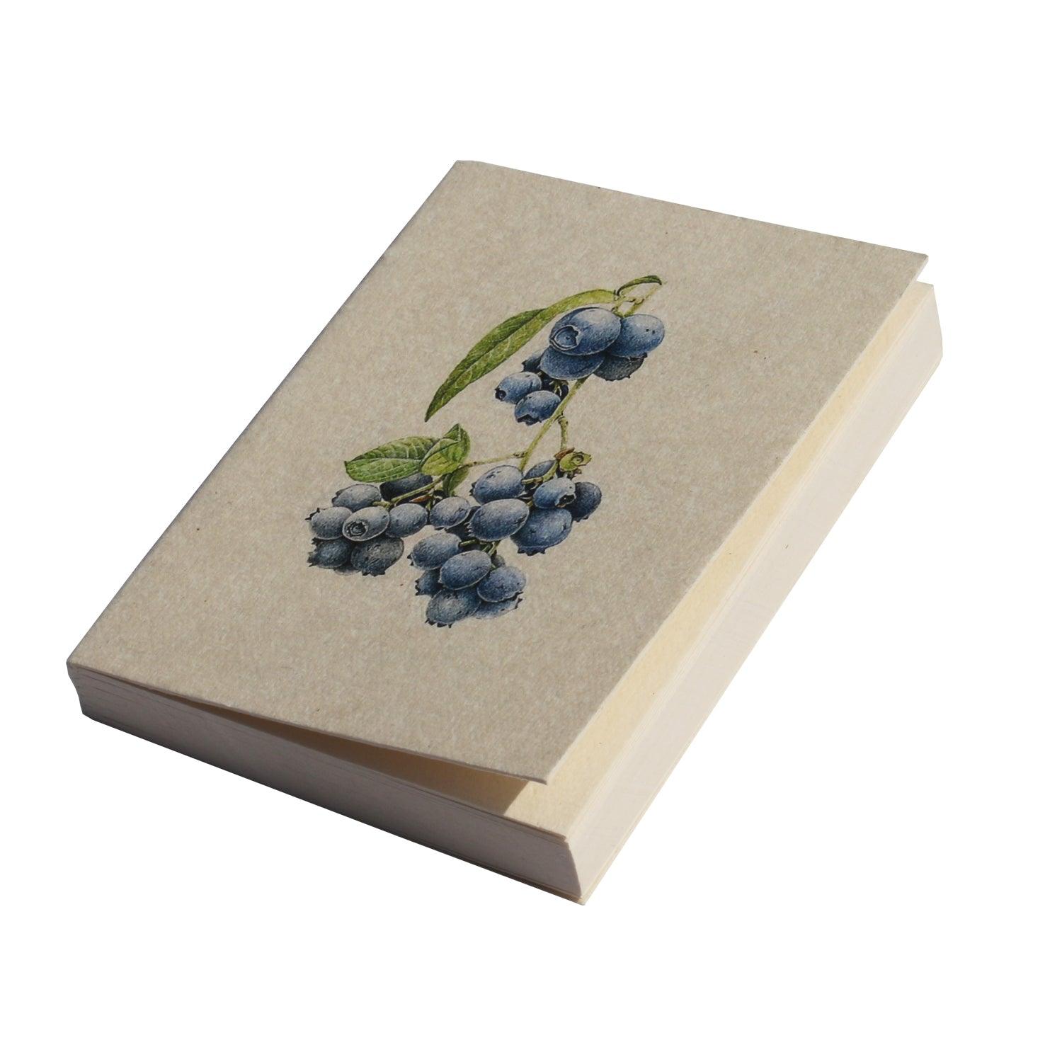 Blueberry Botanical Illustration Pocket Diary Set Of 2 - DeKulture DKW-1079-PD