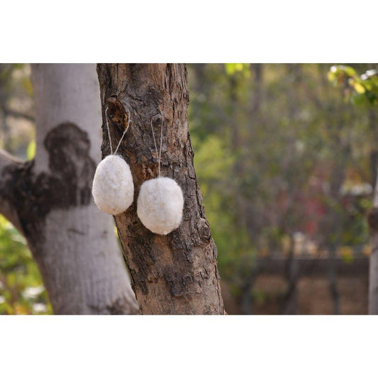 Hanging Egg Ornaments Set Of 2 - DeKulture DKW-5091-FD