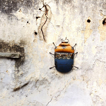 Recycled Beetle Wall Mount - DeKulture DKW-17017-RIF