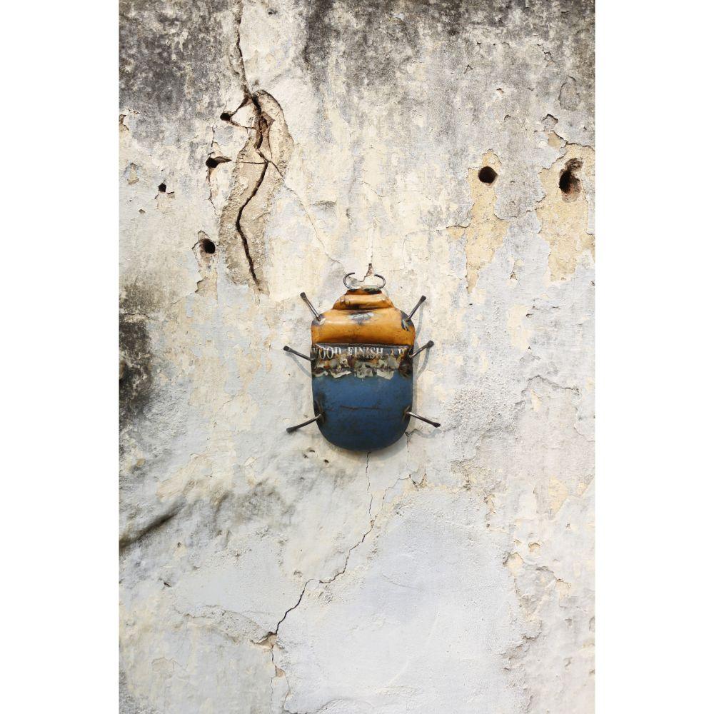 Recycled Beetle Wall Mount - DeKulture DKW-17017-RIF
