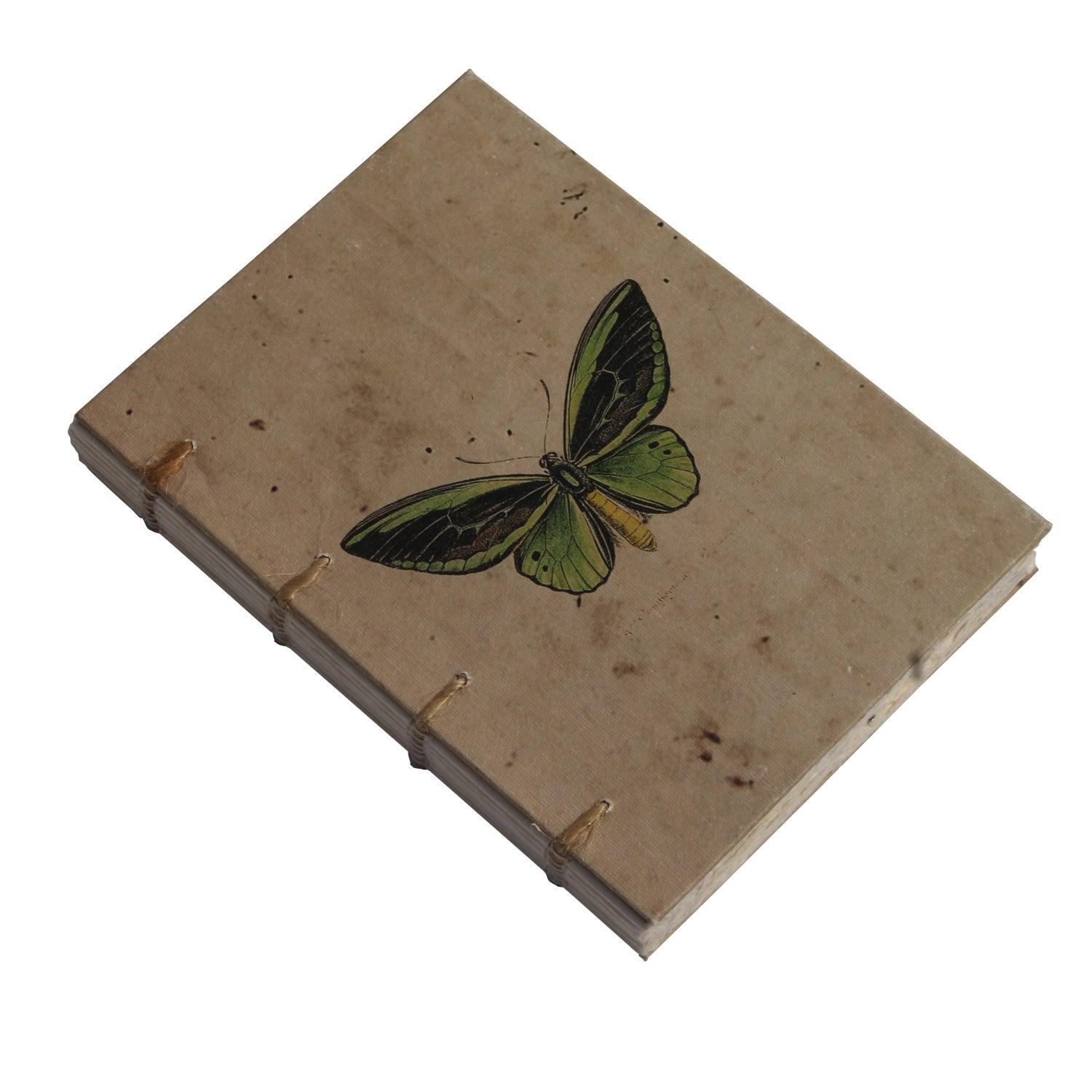 Vintage Butterfly Artwork Journal - DeKulture DKW-1143-J